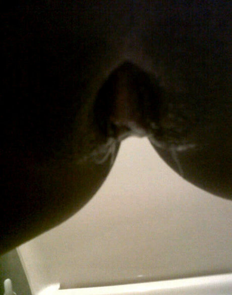 Exibam Sua Companheira étoile gratuite photo