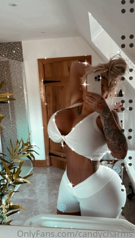 chaton potelé uniquementfans beau meilleur collection