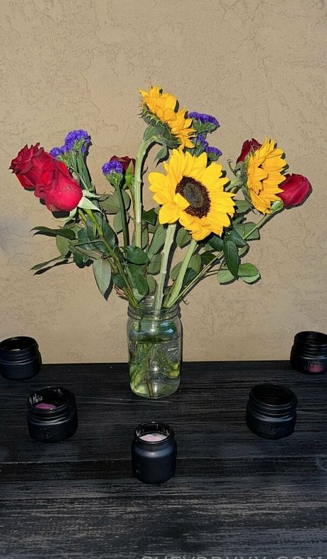 cheybbxxx star du porno hd images