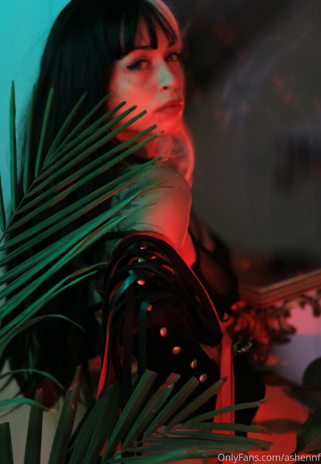 ashennf nus étoiles collection