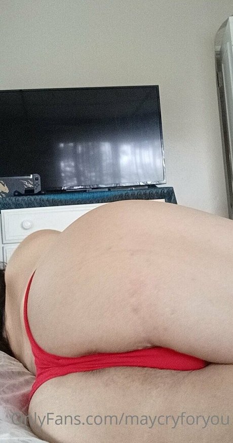 maycryforyou art de star du porno img