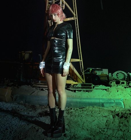 Renatarii haut étoile photo