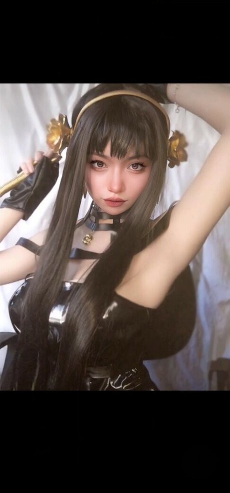 Seolette étoile de haute qualité photos