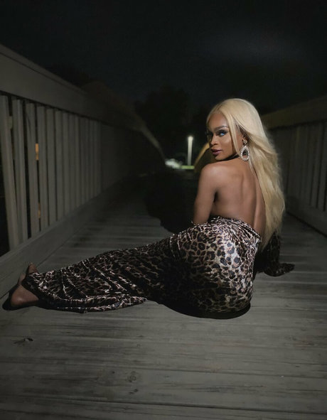 samanthaporsha nus étoiles collection