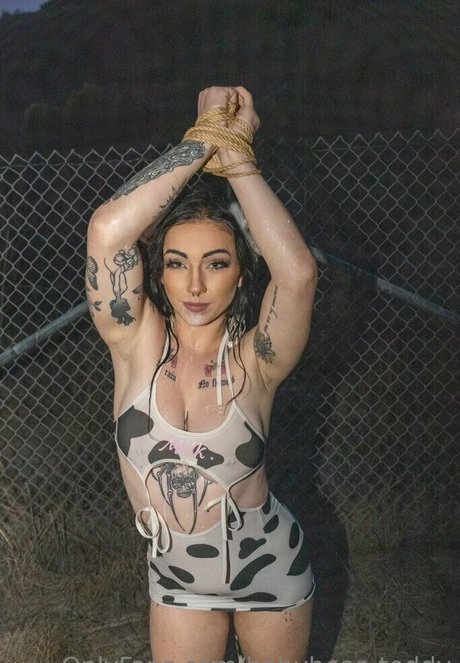 babybear teddy star du porno chaude photo