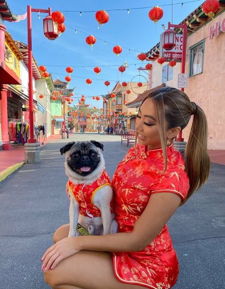 vmynguyen étoile gratuite img