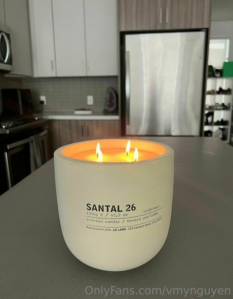 vmynguyen actrice exclusive image