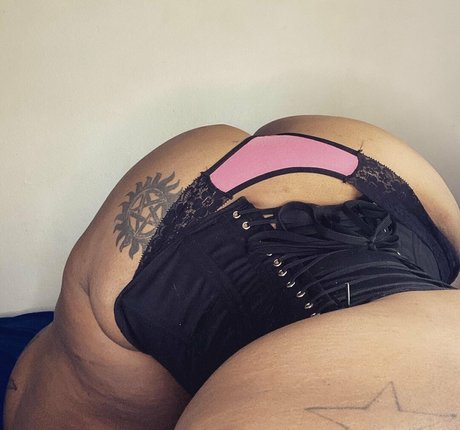 amazon leee jolie étoile collection