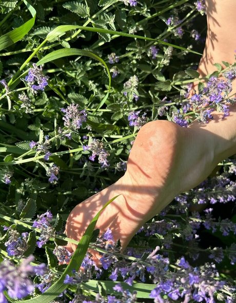 ai and0 étoile chaude galerie