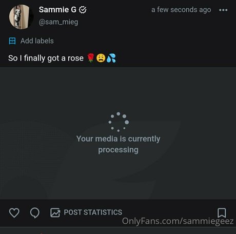 dream candy art étoile galeries