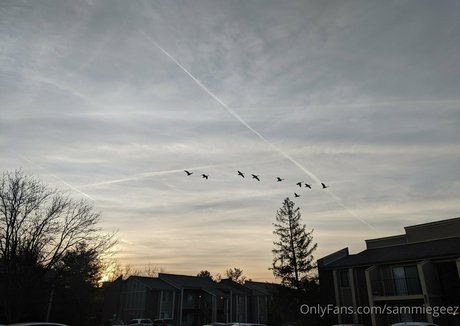 dream candy modèle xxx galeries