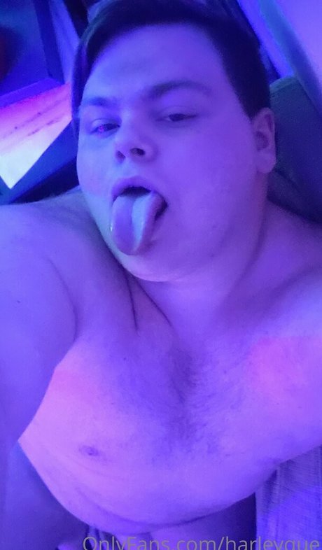 harleyque meilleur modèle galerie