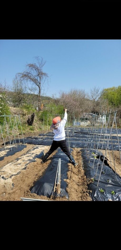 Yuggie TV actrice porno galeries