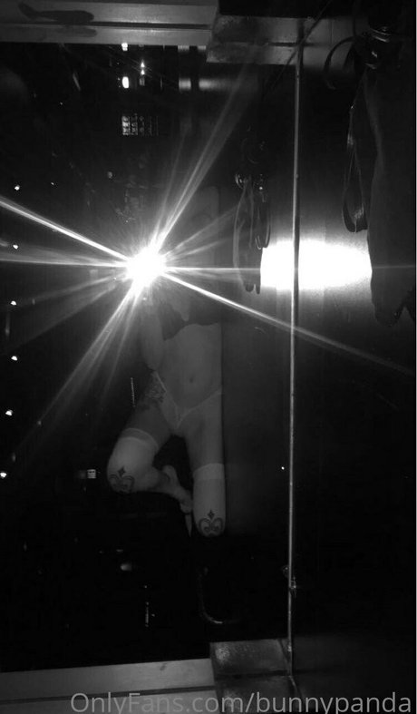 bunnypanda modèle porno photo