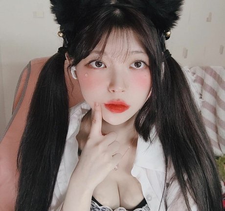 yudiii modèle parfait archive