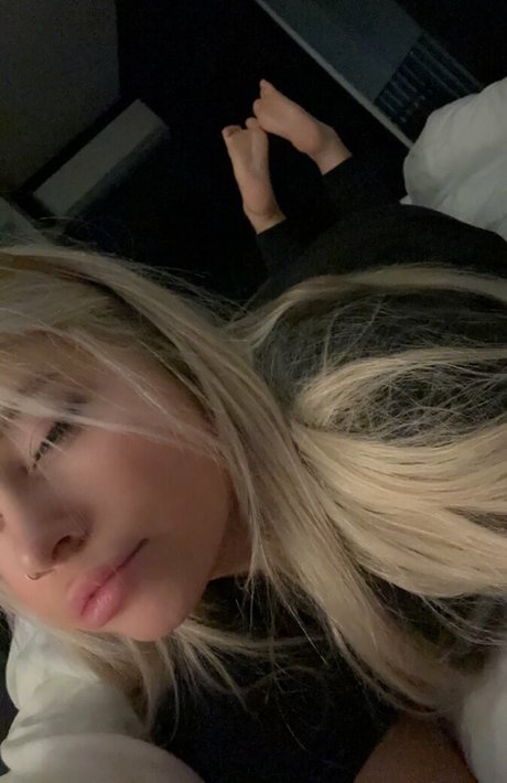 Decadex modèle meilleur image