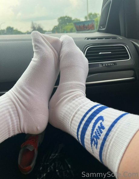 sammysole modèle image