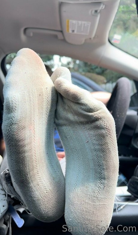 sammysole étoile galeries