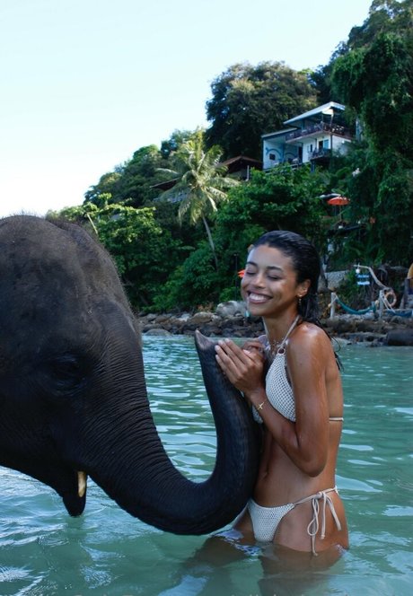 fans de cul latin uniquement art de haute qualité photos