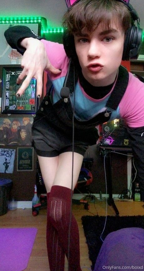 boixd modèle hd des photos