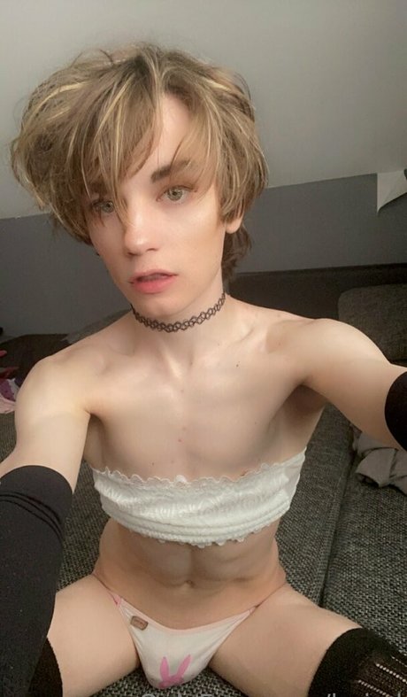 boixd modèle de haute qualité des photos