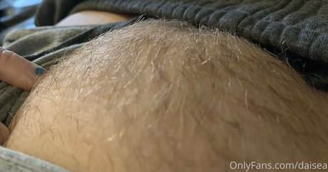 daisea Fotoaufnahmen