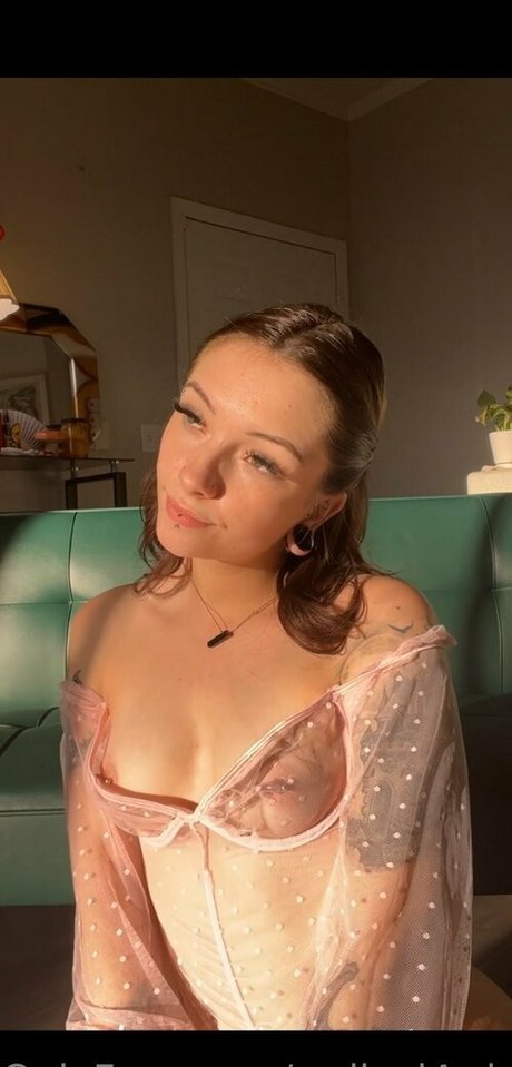 radical4what étoile chaude galerie