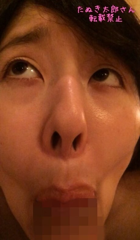 tanukitarousan étoile parfaite photos