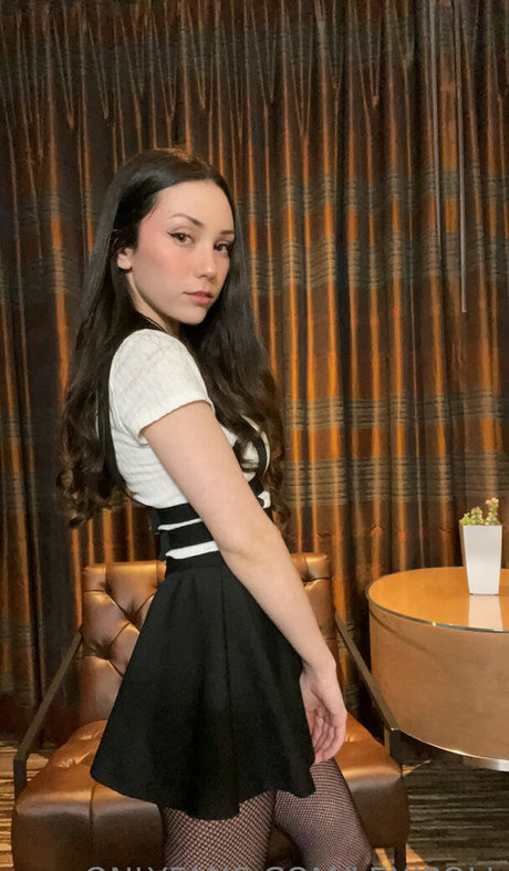 Lexipoll modèle nu img