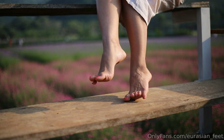 eurasian feet modèle de sexe archive