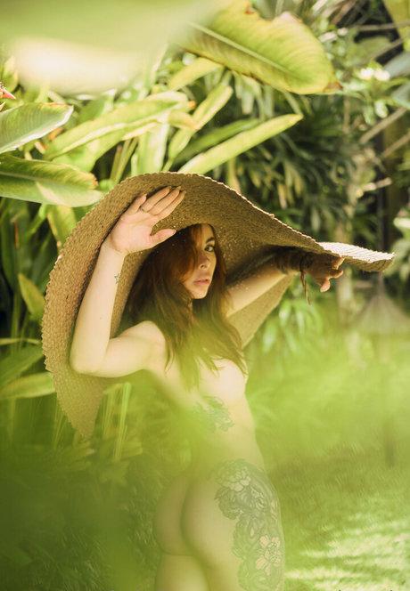 Blizzard joli modèle archive