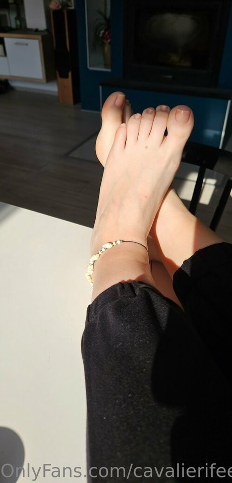 cavalierifeetfree nus de stars du porno galeries