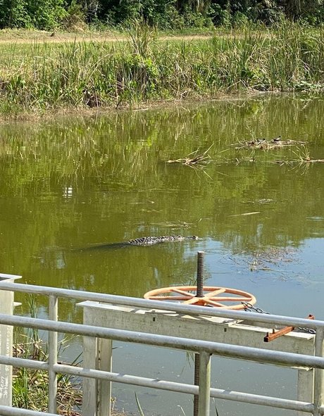 fans uniquement de milf indienne chaud parfait photos