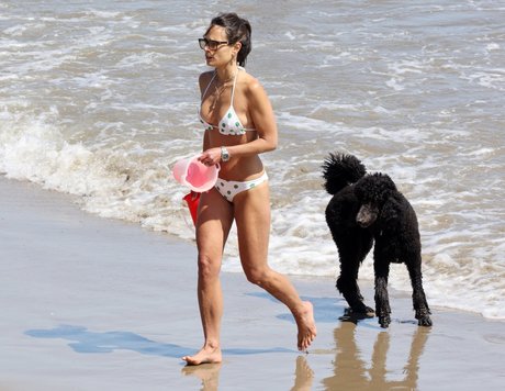 Jordana Brewster modèle gratuit img