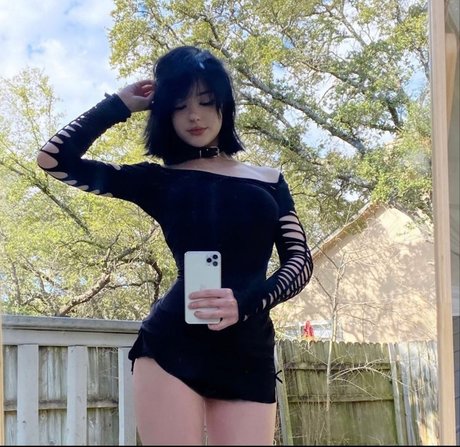 Notdatsrs modèle hd collection