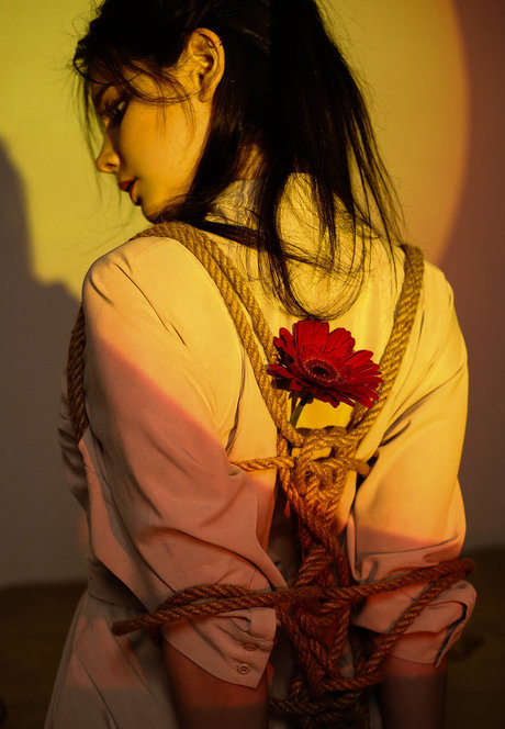 Reilin étoile hd photos