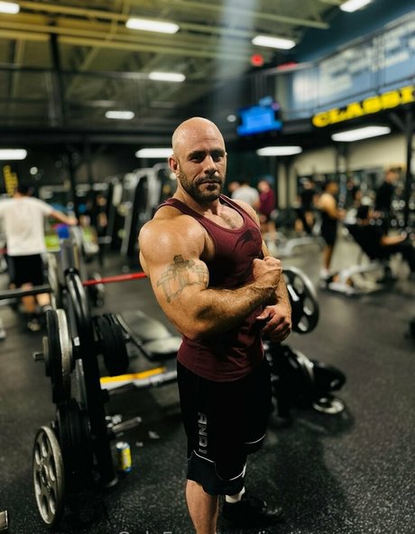 justinmetrando art star du porno images