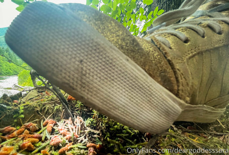 deargoddesssara étoile de haute qualité collection