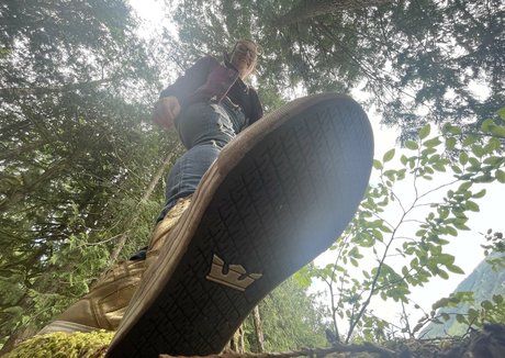 deargoddesssara étoile hd photo