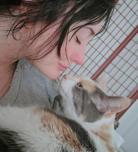 yureta2 top star archive