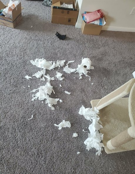 yureta2 star du porno nue image