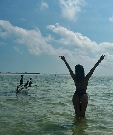 Sofia Suescun modèle artistique img