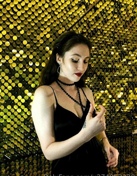 lilylong étoile parfaite galeries