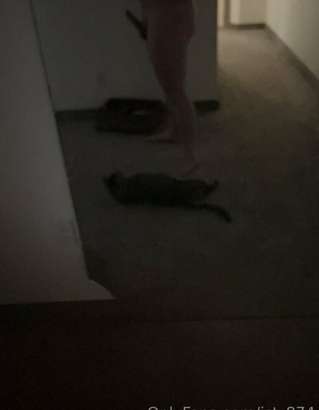 jst 874 étoile chaude img