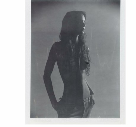 Herbert Twins art star du porno image