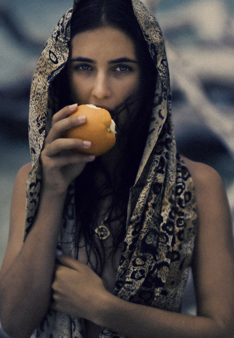 Herbert Twins étoile nue images