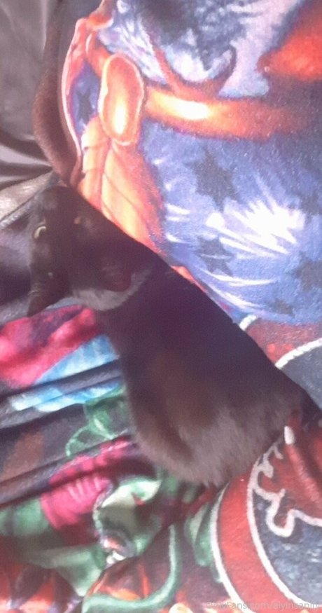 amy lovotomy sexe star du porno images