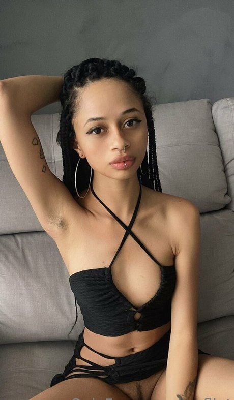 msflat modèle artistique galerie