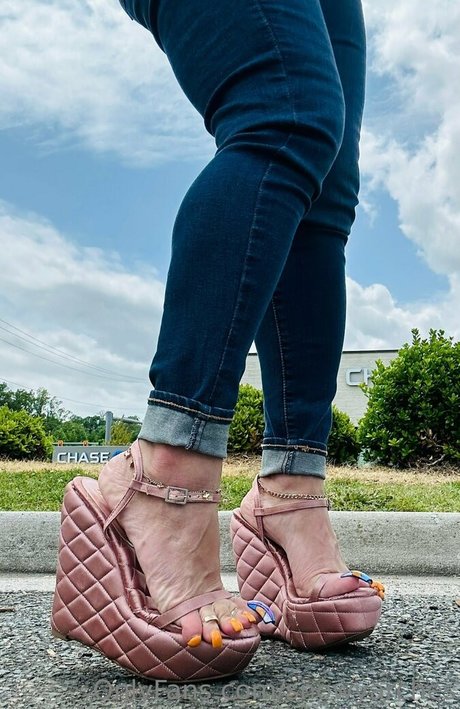 snowyarches joli modèle galeries