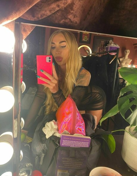 twenty3paulstreet étoile parfaite galeries